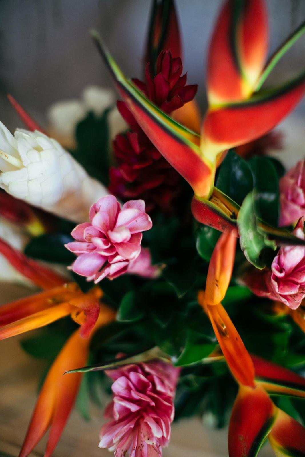 Mother Earth Luxury Boutique Hotel, Restaurant & Spa (Adults Only) Tamarindo Bilik gambar